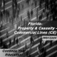 Florida - PROPERTY AND CASUALTY - COMMERCIAL LINES (6hrs CE) (INSCE022FL6)